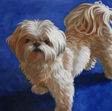 Whirly Girl, Shih Tzu
14" x 11"
Prints and note cards available